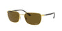 Ray Ban 3684CH Sunglasses