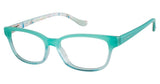 Ted Baker B954 Eyeglasses