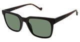 MINI 746005 Sunglasses