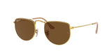 Ray Ban Elon 3958 Sunglasses