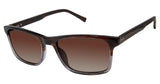 Ted Baker TBM066 Sunglasses