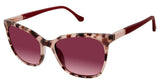 Buffalo by David Bitton BWS005 Sunglasses