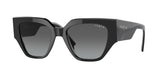 Vogue 5409S Sunglasses