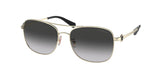 Coach C6177 7127 Sunglasses