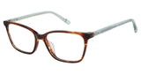 Customer Appreciation Program SPBIRCH Eyeglasses