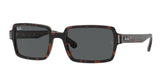 Ray Ban Benji 2189 Sunglasses