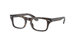Ray Ban Junior Burbank Jr 9083V Eyeglasses