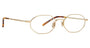 TR Optics Danbury Eyeglasses