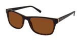 Ted Baker TB112 Sunglasses