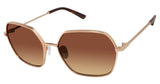 Ted Baker TBW113 Sunglasses