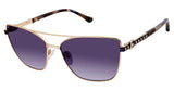 Buffalo by David Bitton BWS007 Sunglasses