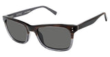 Buffalo by David Bitton BMS005 Sunglasses