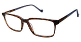 MINI 743001H Eyeglasses