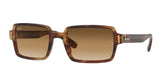 Ray Ban Benji 2189 Sunglasses