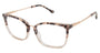 Buffalo by David Bitton BW020 Eyeglasses