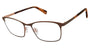 Brendel 902251 Eyeglasses