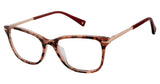 Brendel 924031 Eyeglasses