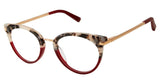 Ted Baker B757 Eyeglasses