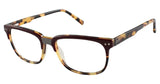 Ted Baker B892 Eyeglasses