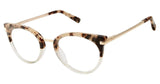 Ted Baker B757 Eyeglasses