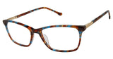 Buffalo by David Bitton BW014 Eyeglasses