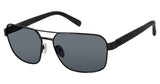 Ted Baker TBM045 Sunglasses