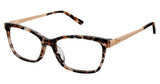 Ted Baker B765UF Eyeglasses