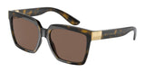 Dolce & Gabbana 6165 Sunglasses