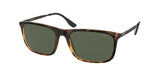 Chaps 5007 Sunglasses