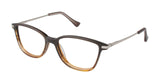 Ted Baker B735 Eyeglasses