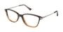 Ted Baker B735 Eyeglasses