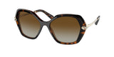 Bvlgari 8241KB Sunglasses