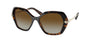 Bvlgari 8241KB Sunglasses