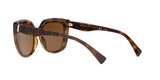 500383 - Havana - Polar Brown