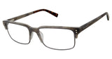 Ted Baker TM506 Eyeglasses