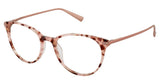 Ted Baker B749 Eyeglasses