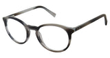 Ted Baker B895 Eyeglasses