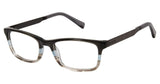 Ted Baker B964 Eyeglasses