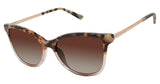 Ted Baker TBW118 Sunglasses