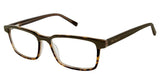 Ted Baker TB804 Eyeglasses