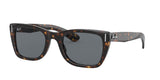 Ray Ban Caribbean 2248 Sunglasses