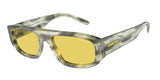 Arnette Gullwing 4292 Sunglasses