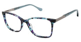 Buffalo by David Bitton BW016 Eyeglasses