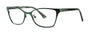 OGI Eyewear 5508 Eyeglasses
