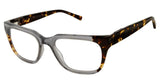 Ted Baker TB802 Eyeglasses