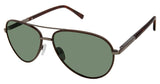 Ted Baker TBM064 Sunglasses