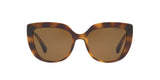 500383 - Havana - Polar Brown