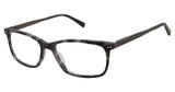 Ted Baker TM004 Eyeglasses