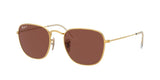 Ray Ban Frank 3857 Sunglasses