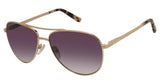 Ted Baker TBW146 Sunglasses